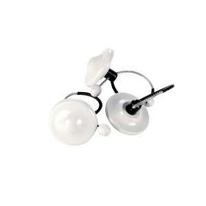 EAS Anti-shoplifting Wine Bottle Safer Tag for Retail Store(BT008)