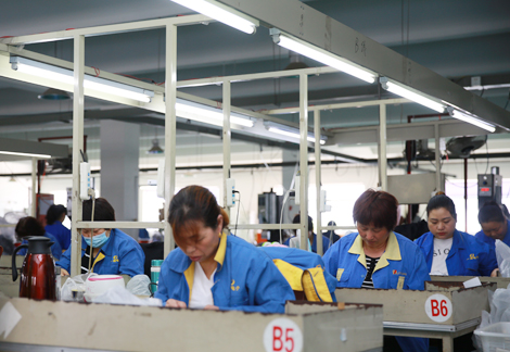 20+ Years experience